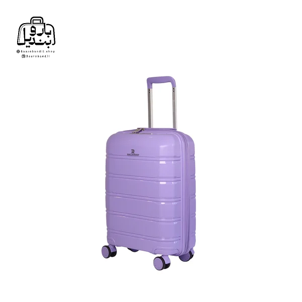 تصویر اختصاصی از سایز کوچک (داخل کابین) ریکاردو در رنگ یاسی