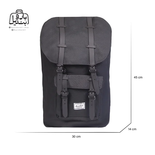 تصویر اختصاصی از نمای جلوی هرشل Herschel کد H۳۱ در رنگ مشکی همراه با سایزبندی